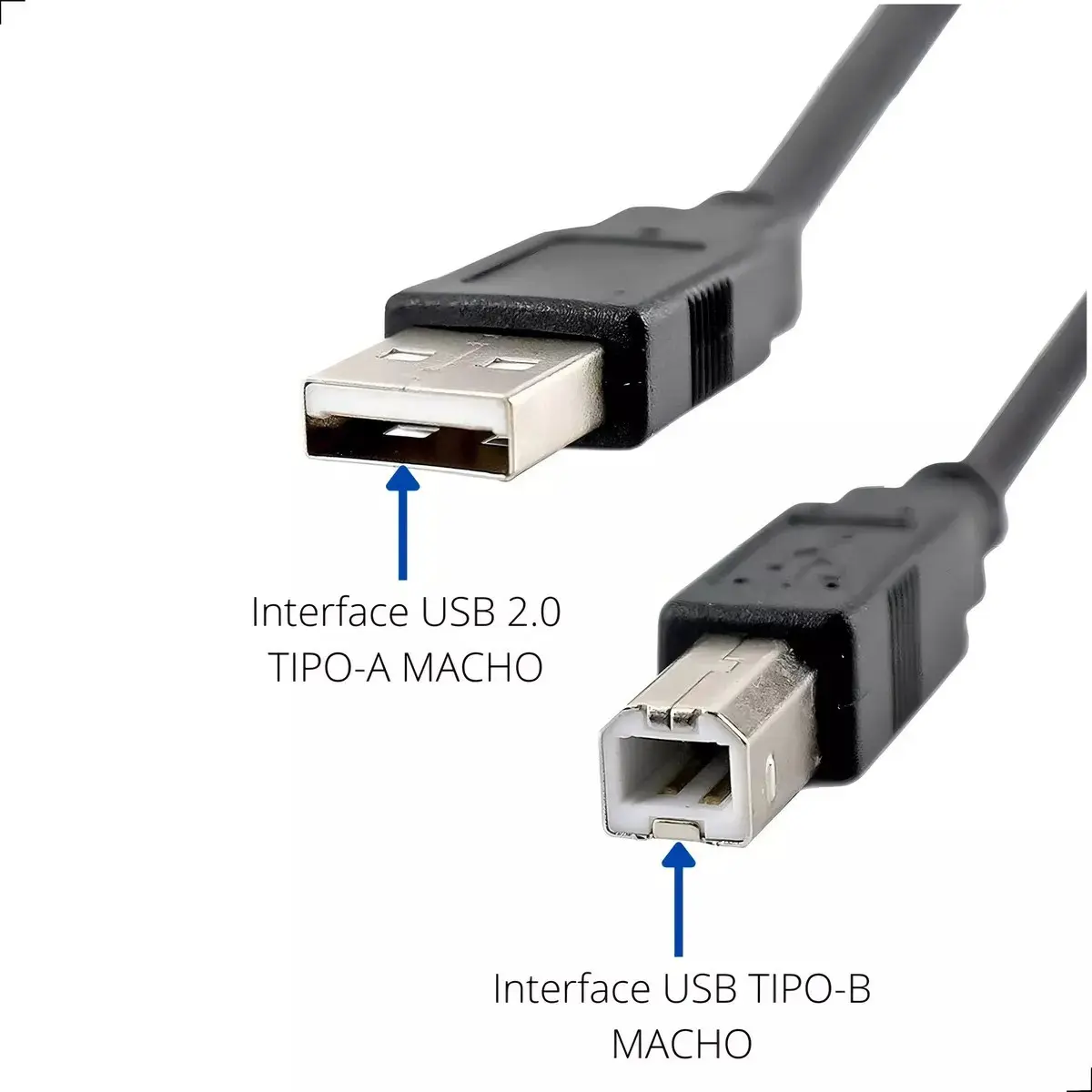 CABO DE IMPRESSORA USB 2.0 1.5M GRASEP - Imagem 4